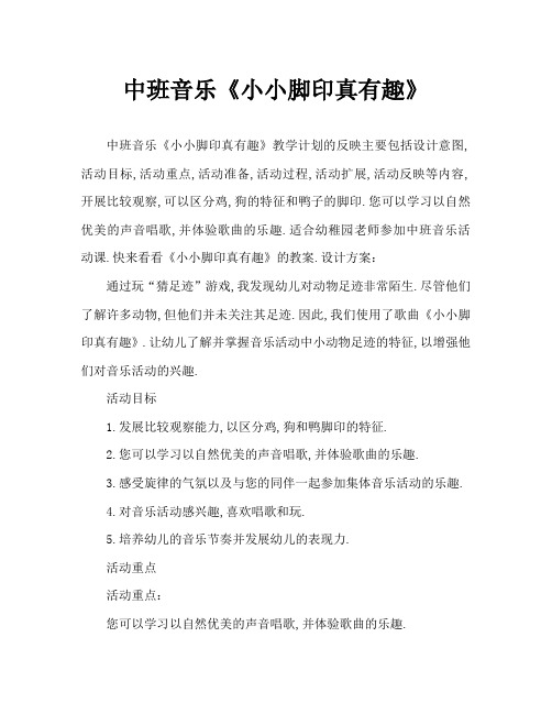 中班音乐《小小脚印真有趣》教案反思