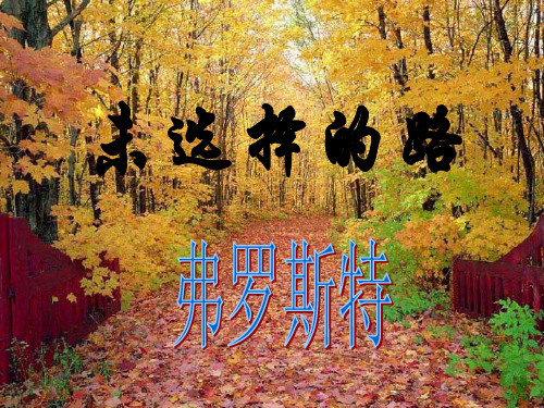 《未选择的路》课件(共21张PPT)