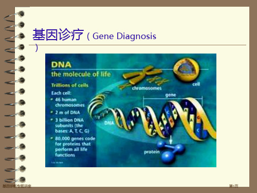 基因诊断专题讲座