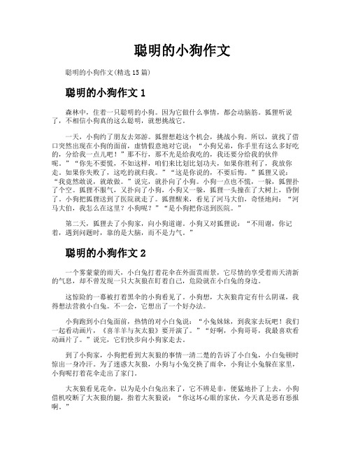 聪明的小狗作文