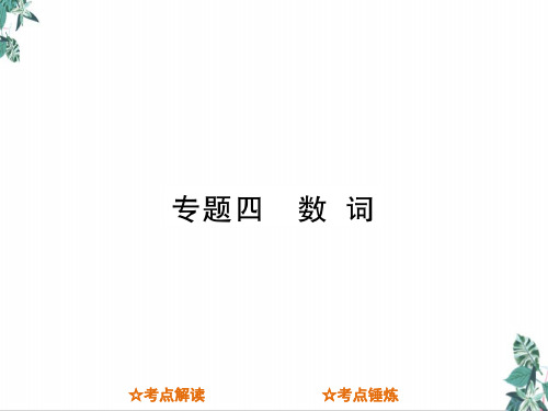 专题四数词(新)中考英语总复习公开课PPT(11张)