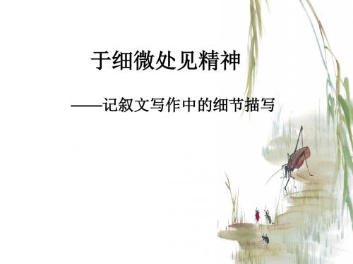 细节描写——记叙文写作中的细节描写ppt课件-免费版