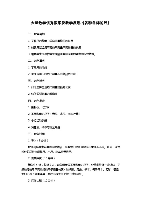 大班数学优秀教案及教学反思《各种各样的尺》