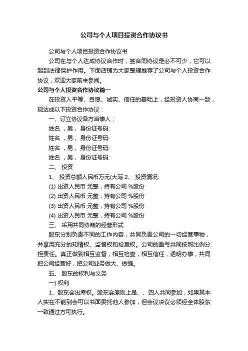 公司与个人项目投资合作协议书