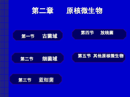 第二章 微生物原核微生物_PPT幻灯片