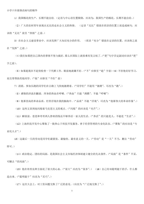 (完整版)六年级小升初修改病句练习题精华