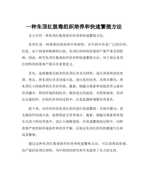 一种朱顶红脱毒组织培养和快速繁殖方法