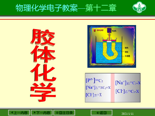 最新第十二章 胶体化学