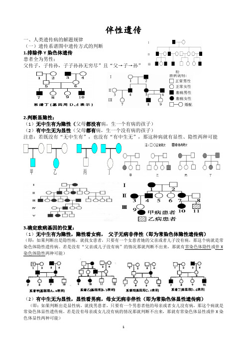 2.3伴性遗传(解题小结)