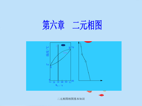 二元相图相图基本知识