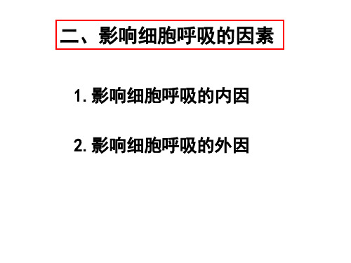 细胞呼吸  研究影响呼吸作用的因素和解决难的曲线图