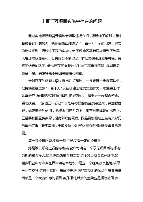 十百千万项目实施中存在的问题