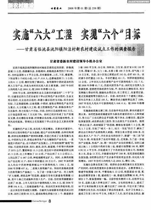 实施“六大”工程 实现“六个”目标——甘肃省临洮县洮阳镇阳洼村新农村建设试点工作的调查报告