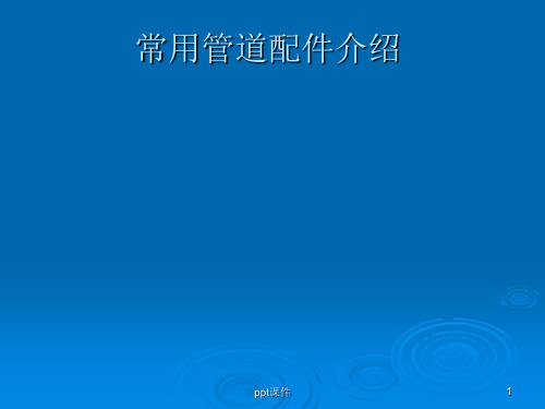 常用管件型号标注方法 pt课件