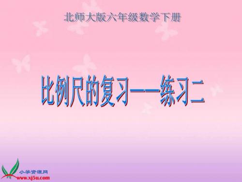 北师大版数学六年级下册《比例尺的复习——练习二》课件-精选文档