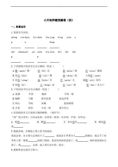 六年级下册语文试题-小升初押题预测卷(四) 通用版(含解析)