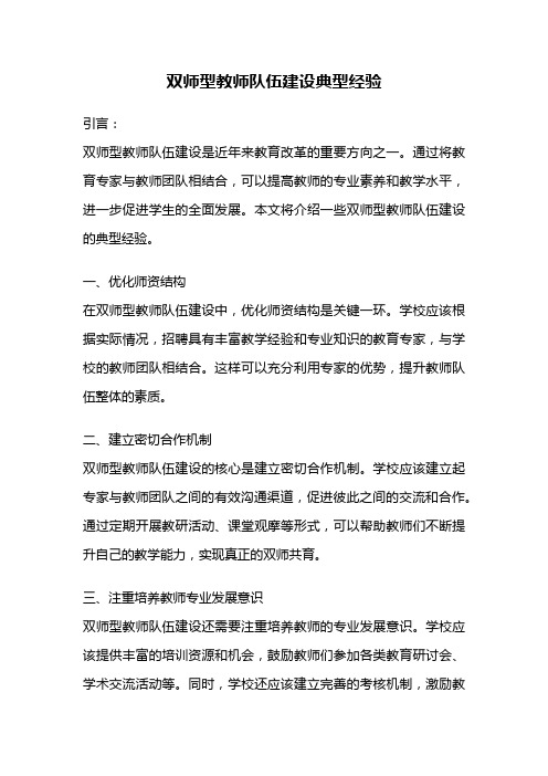 双师型教师队伍建设典型经验