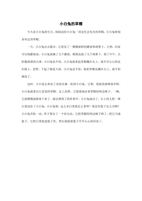 小白兔的草帽_小学二年级作文300字