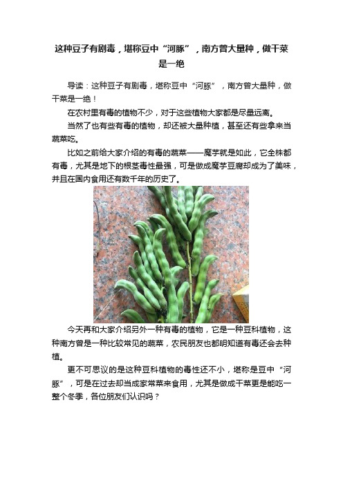 这种豆子有剧毒，堪称豆中“河豚”，南方曾大量种，做干菜是一绝