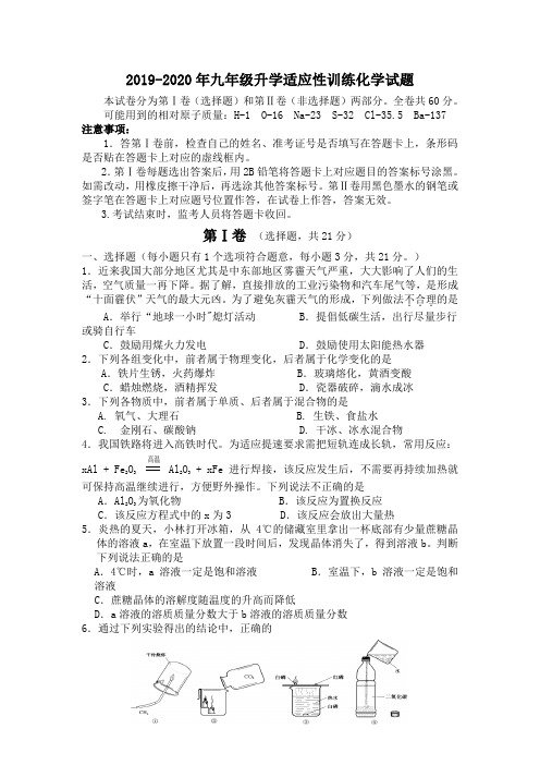 2019-2020年九年级升学适应性训练化学试题