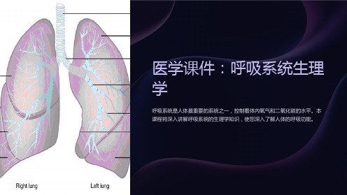 《医学课件：呼吸系统生理学》