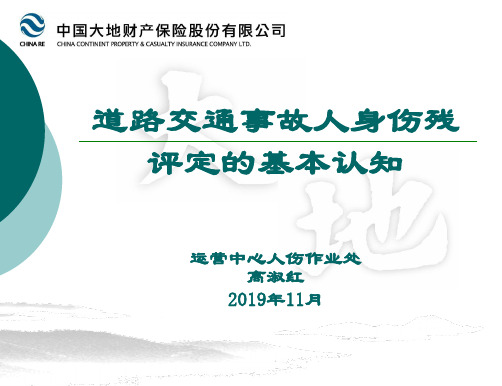 课件--道路交通事故人身伤残评定的基本知识精品文档