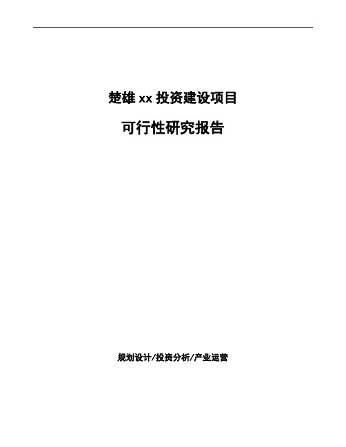 楚雄企业投资项目可行性研究报告