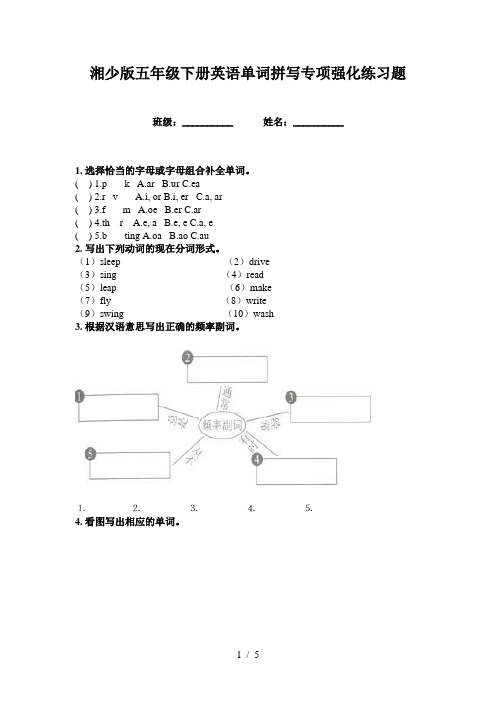 湘少版五年级下册英语单词拼写专项强化练习题