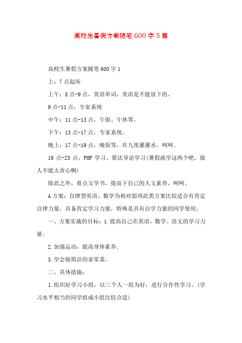 大学生暑假计划随笔600字5篇