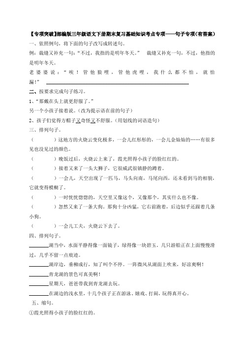 【期末考点】三年级下册语文试题-基础知识复习专项句子专项-部编版(含答案含解析)