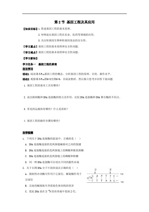 人教版必修二生物 精品导学案：6.2基因工程及其应用