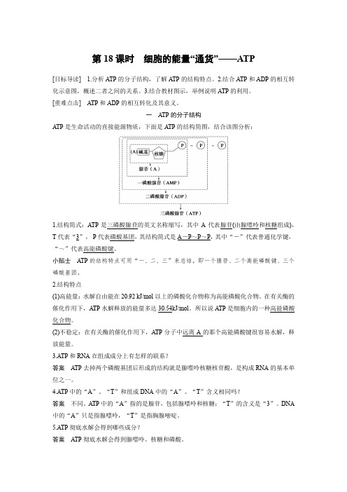 生物人教版必修1习题：5.2 细胞的能量“通货”——atp word版含解析