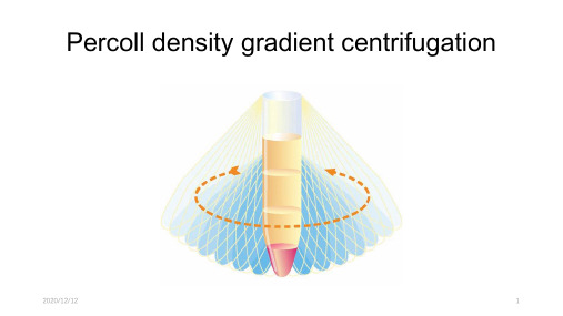 Percoll密度梯度离心教程 ppt课件