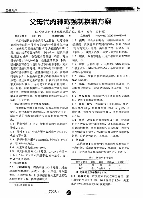 父母代肉种鸡强制换羽方案