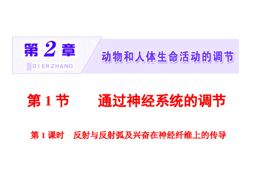 新人教必修3高中生物课件：反射与反射弧及兴奋在神经纤维上的传导