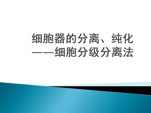 细胞器的分离、纯化