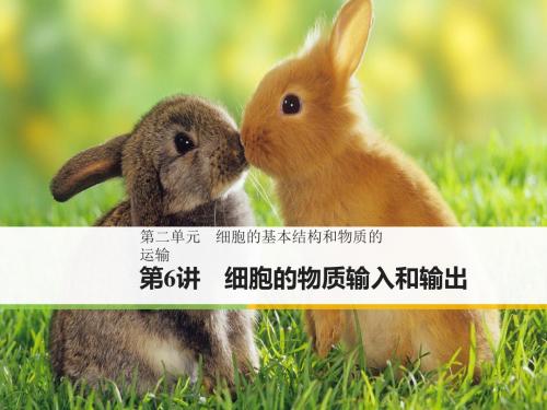 2018-2019高中生物大一轮复习讲义：第二单元 细胞的基本结构和物质的运输 第6讲 课件(128张)
