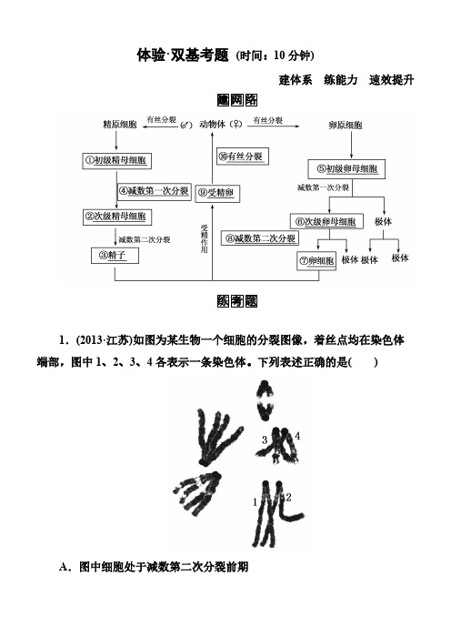 [vip专享]【名师一号】2015届高考生物(人教版通用)总复习体验双基考题：第14讲 减数分裂与受精作用