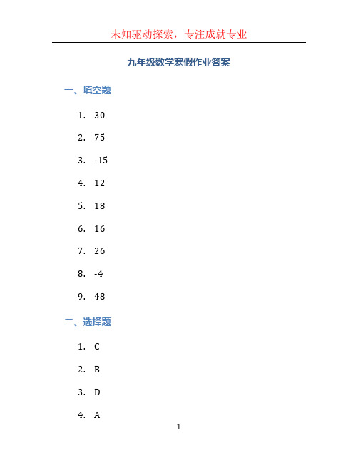 九年级数学寒假作业答案