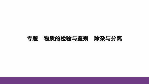 2024年中考化学(鲁教版)专题复习：物质的检验与鉴别 除杂与分离