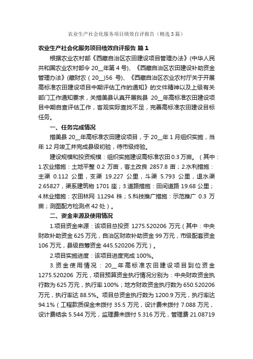 农业生产社会化服务项目绩效自评报告（精选3篇）