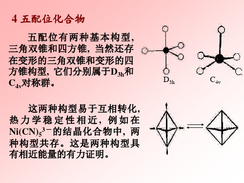 配位数及其构形