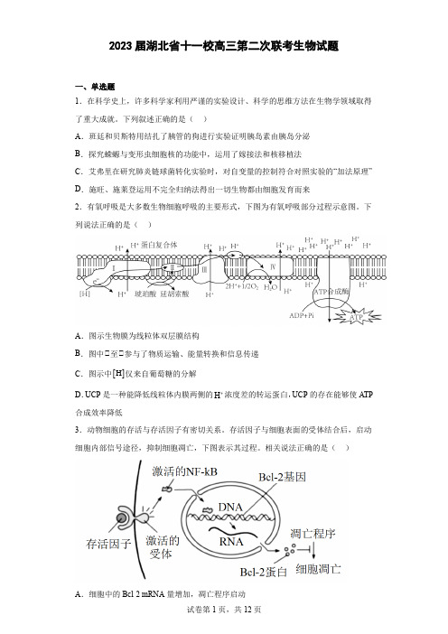 2023届湖北省十一校高三第二次联考生物试题