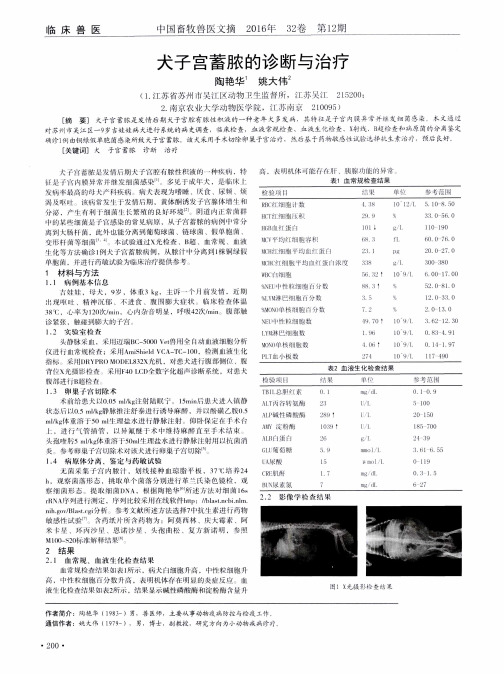 犬子宫蓄脓的诊断与治疗