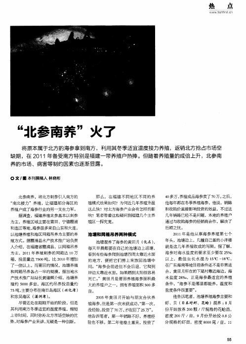 “北参南养”火了