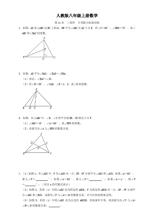 人教版八年级上册数学  第11章   三角形   专项能力拓展训练