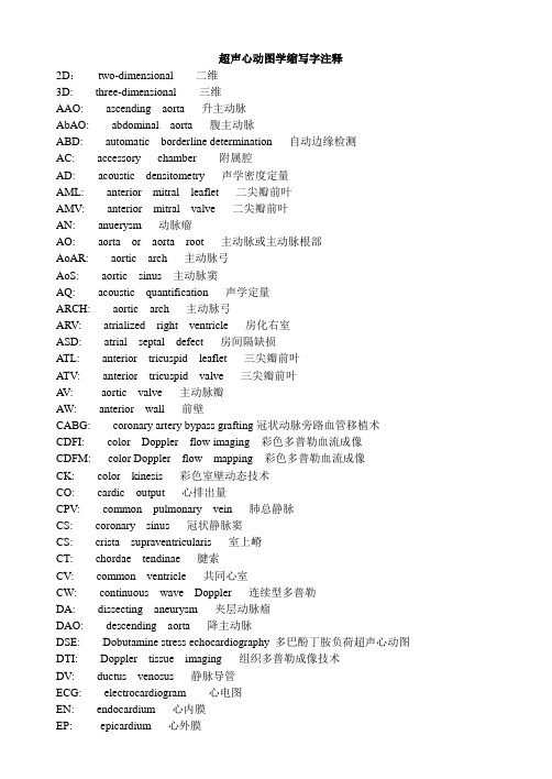 超声心动图学缩写字注释