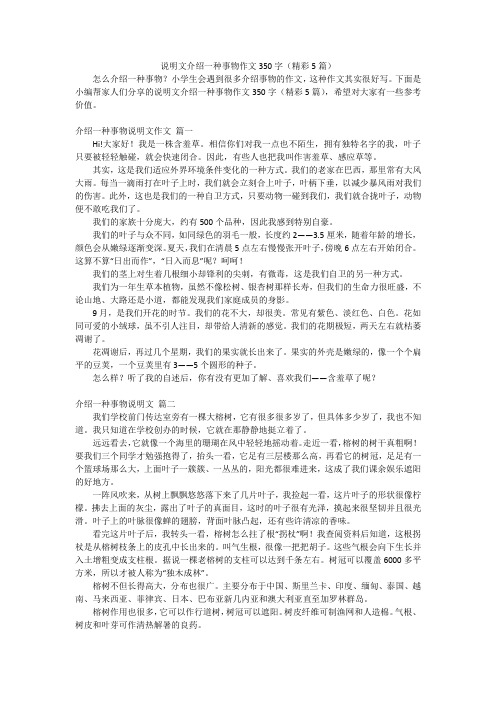 说明文介绍一种事物作文350字(精彩5篇)