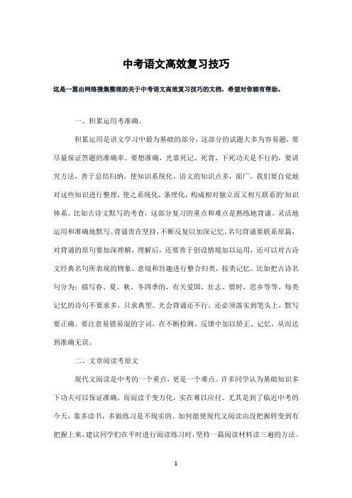 中考语文高效复习技巧