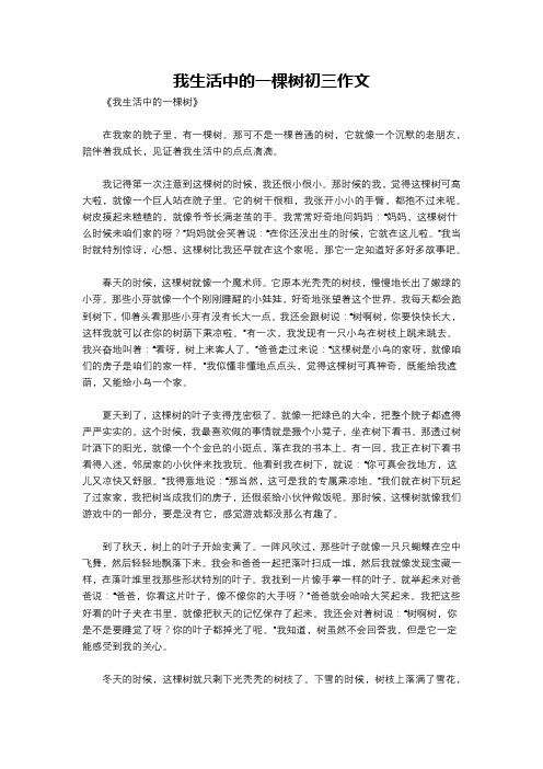 我生活中的一棵树初三作文